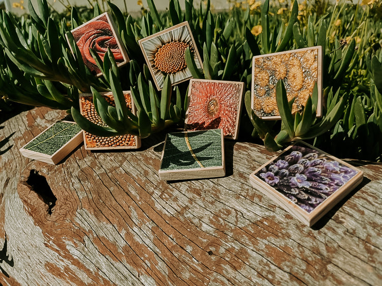 Textured Nature Tiles & Matching Cards | Plant & Flower Learning Resource