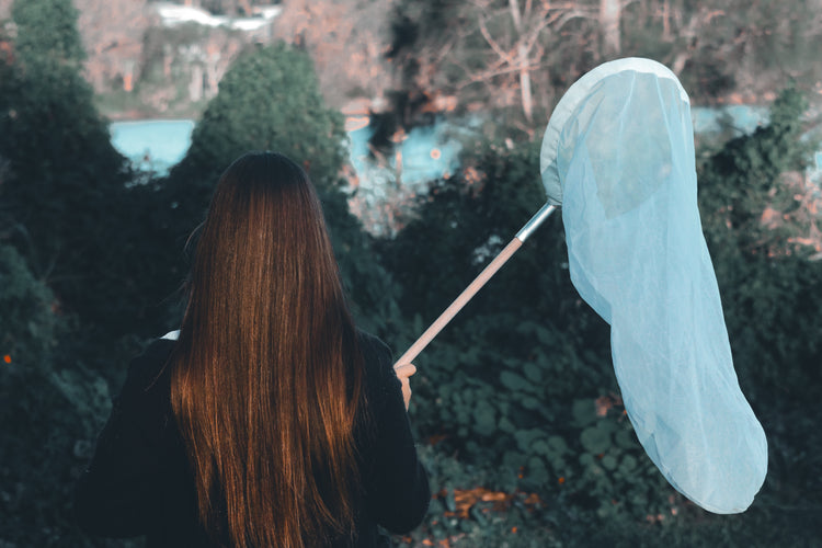 Insect catching net