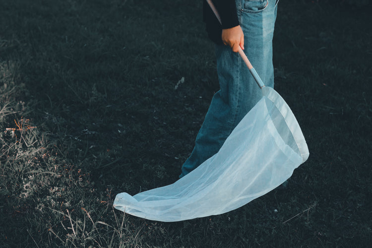 Insect catching net