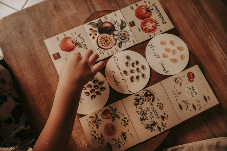 Fruit Discovery Set