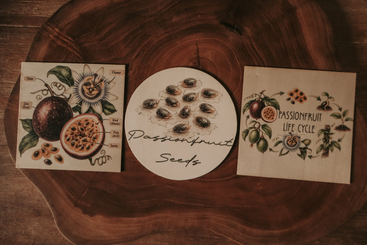 Fruit Discovery Set