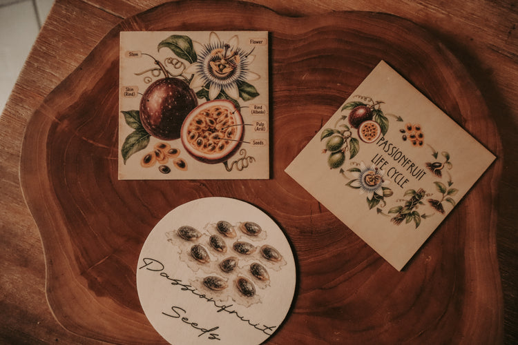 Fruit Discovery Set
