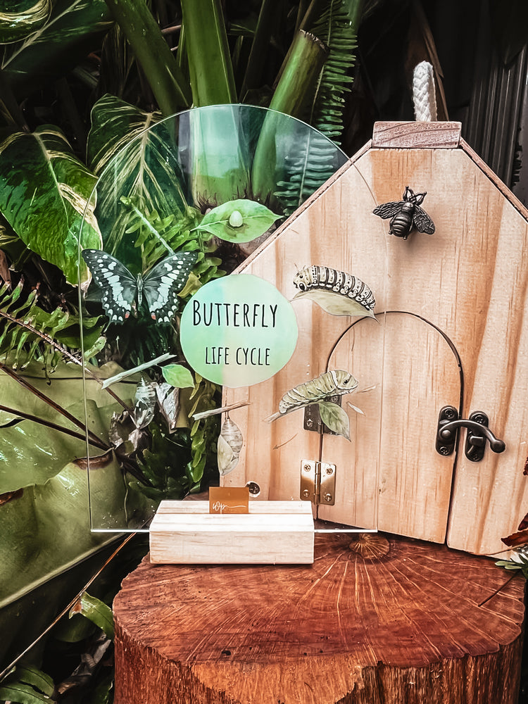 A butterfly life cycle educational display featuring a wooden house-shaped frame, clear acrylic board, caterpillar, butterfly, and bee cutouts, set on a rustic wood stump in front of lush green tropical plants.
