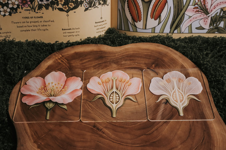 Layered Flower