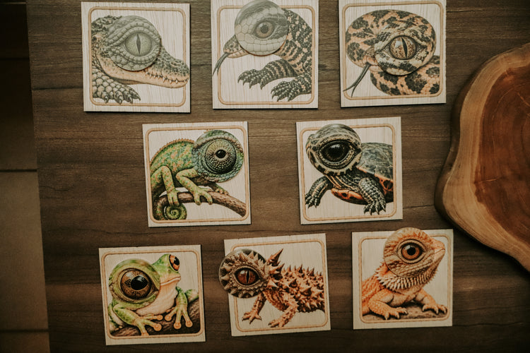 Reptile eye matching set