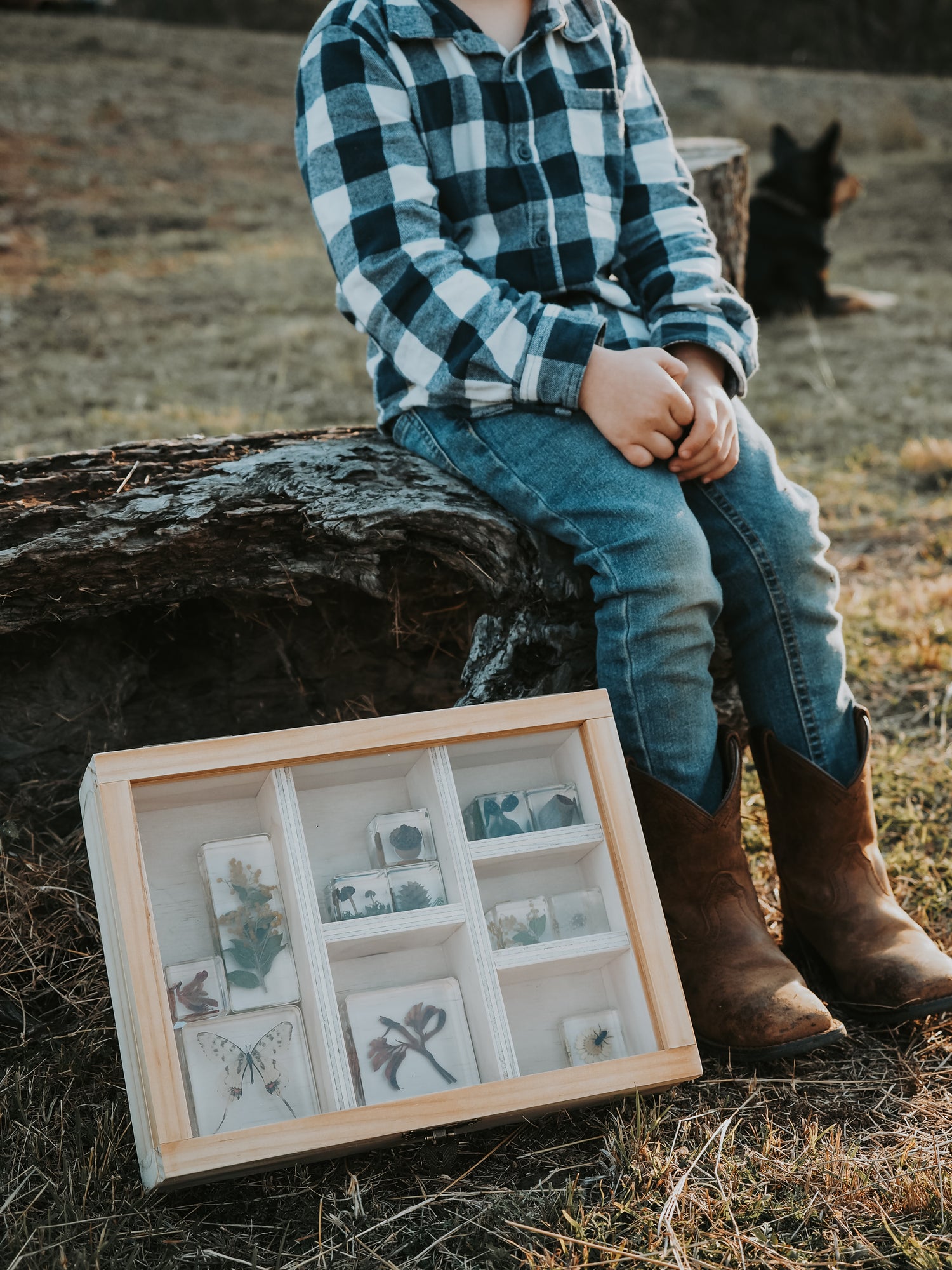 Bush walk and collect natures treasures and place into trinket box 