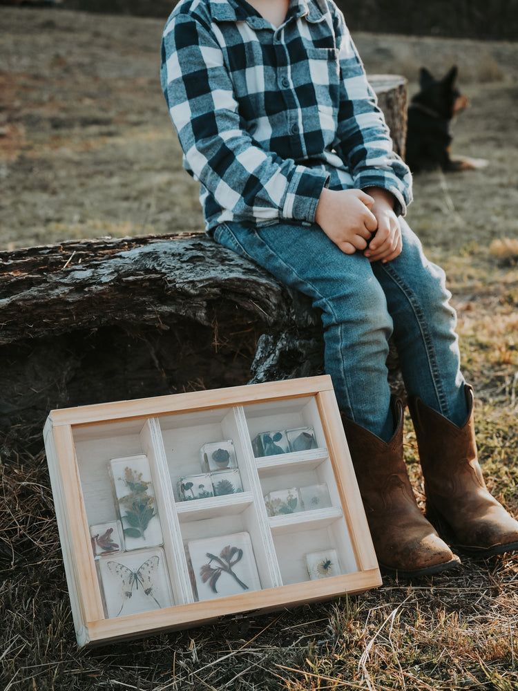 Bush walk and collect natures treasures and place into trinket box 