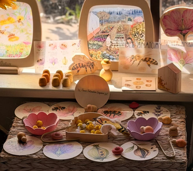 Pollination Discovery Kit | Hands-On Nature & STEM Learning