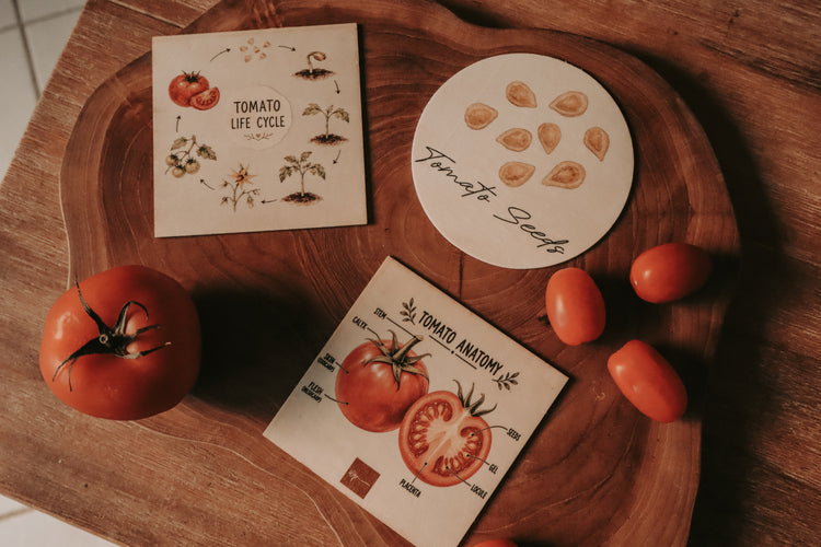 Fruit Discovery Set
