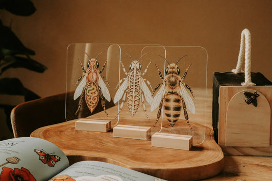 Layered Bee