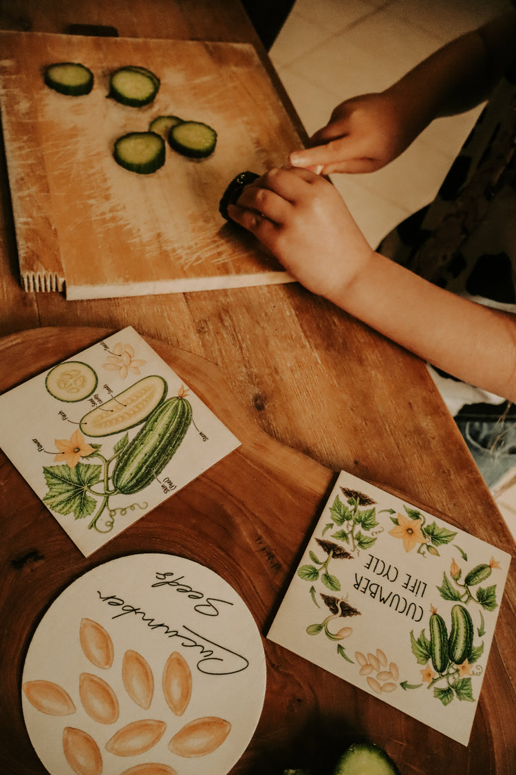 Vegetable discovery set