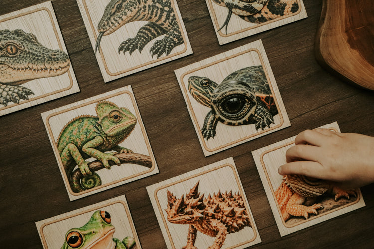 Reptile eye matching set
