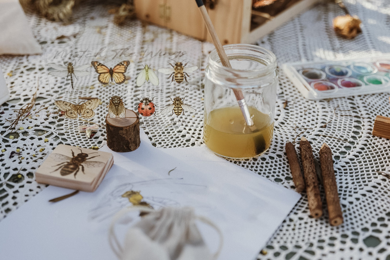 insects on acrylic board matching game 