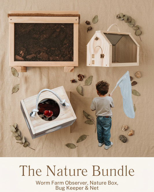 The Nature Bundle- worm farm observer, nature box, bug keeper and net
