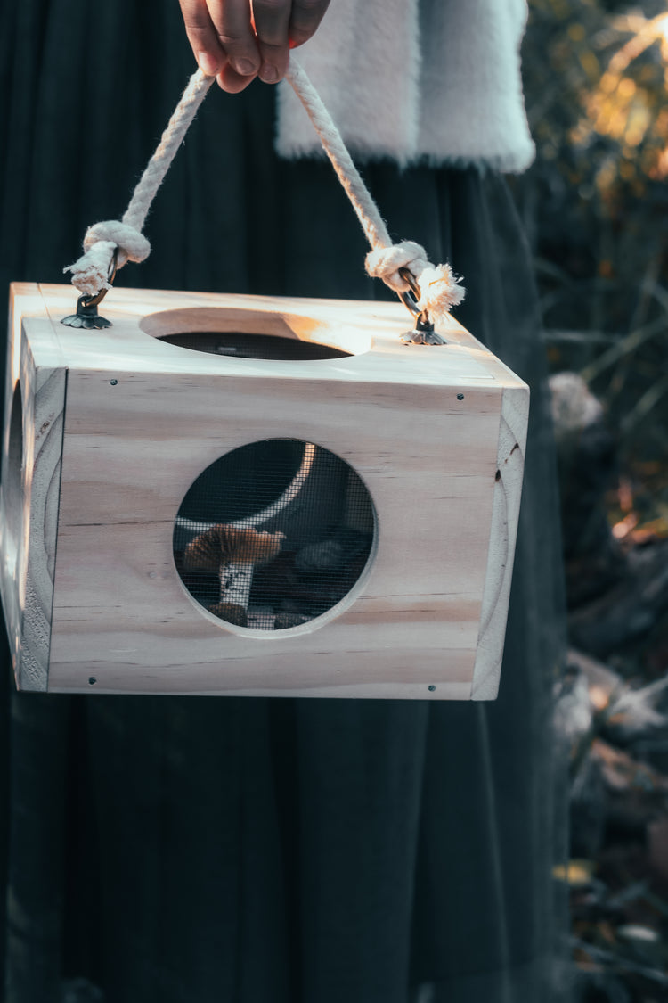 Nature Box