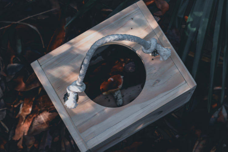 Nature Box