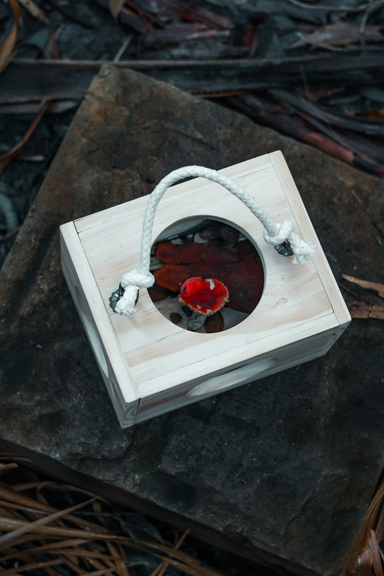 Nature Box