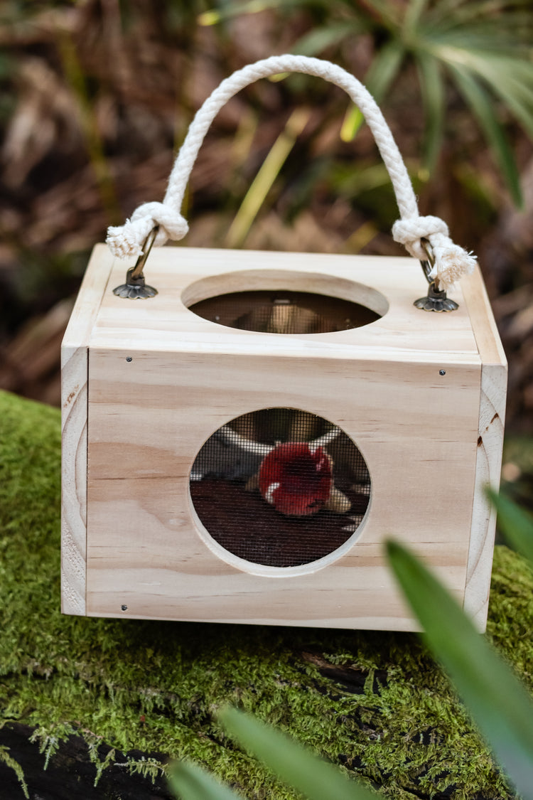 Nature Box