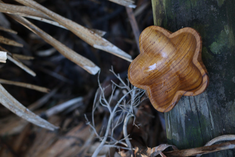Wooden star bowl