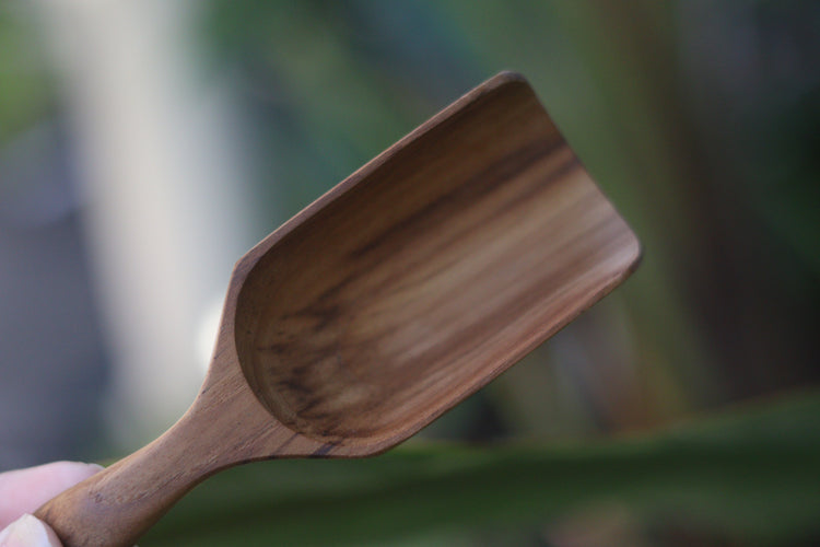 Teak bean scoop