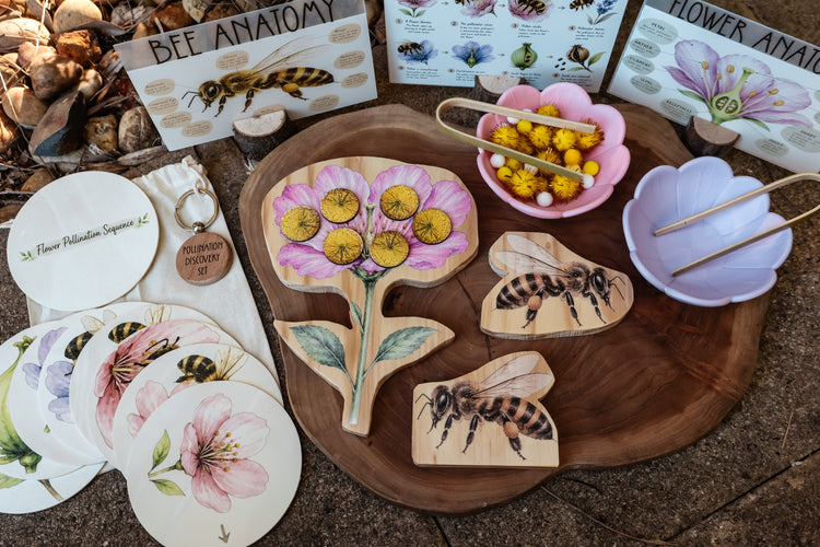 Pollination Discovery Kit | Hands-On Nature & STEM Learning