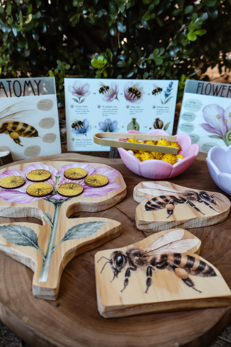 Pollination Discovery Kit | Hands-On Nature & STEM Learning