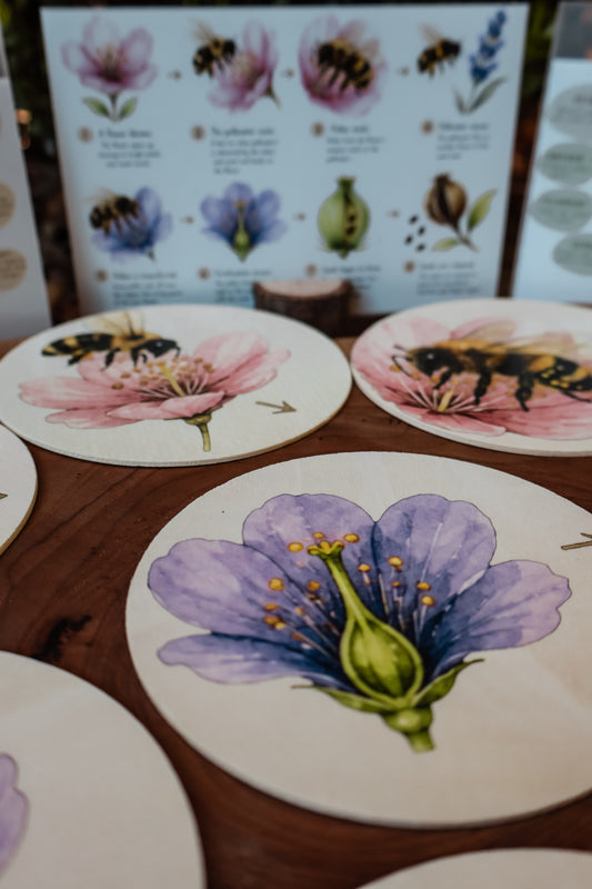 Pollination Discovery Kit | Hands-On Nature & STEM Learning