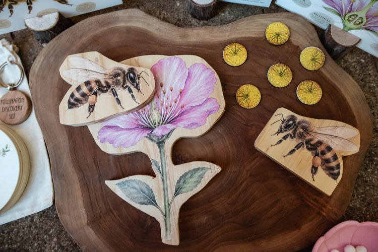 Pollination Discovery Kit | Hands-On Nature & STEM Learning
