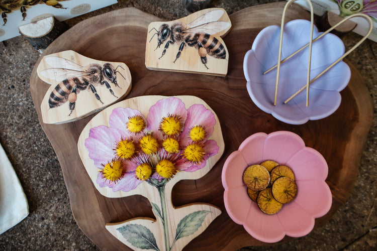 Pollination Discovery Kit | Hands-On Nature & STEM Learning