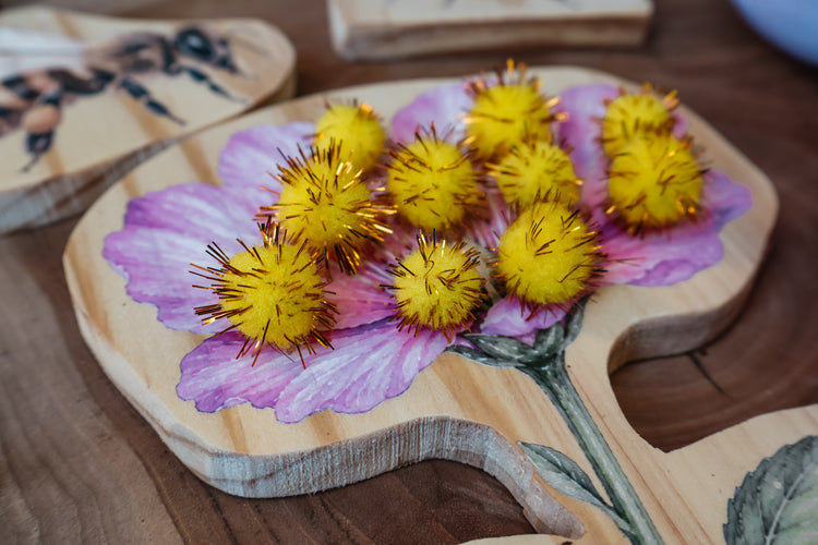 Pollination Discovery Kit | Hands-On Nature & STEM Learning