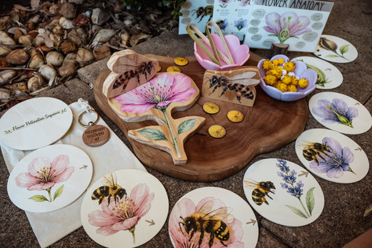 Pollination Discovery Kit | Hands-On Nature & STEM Learning