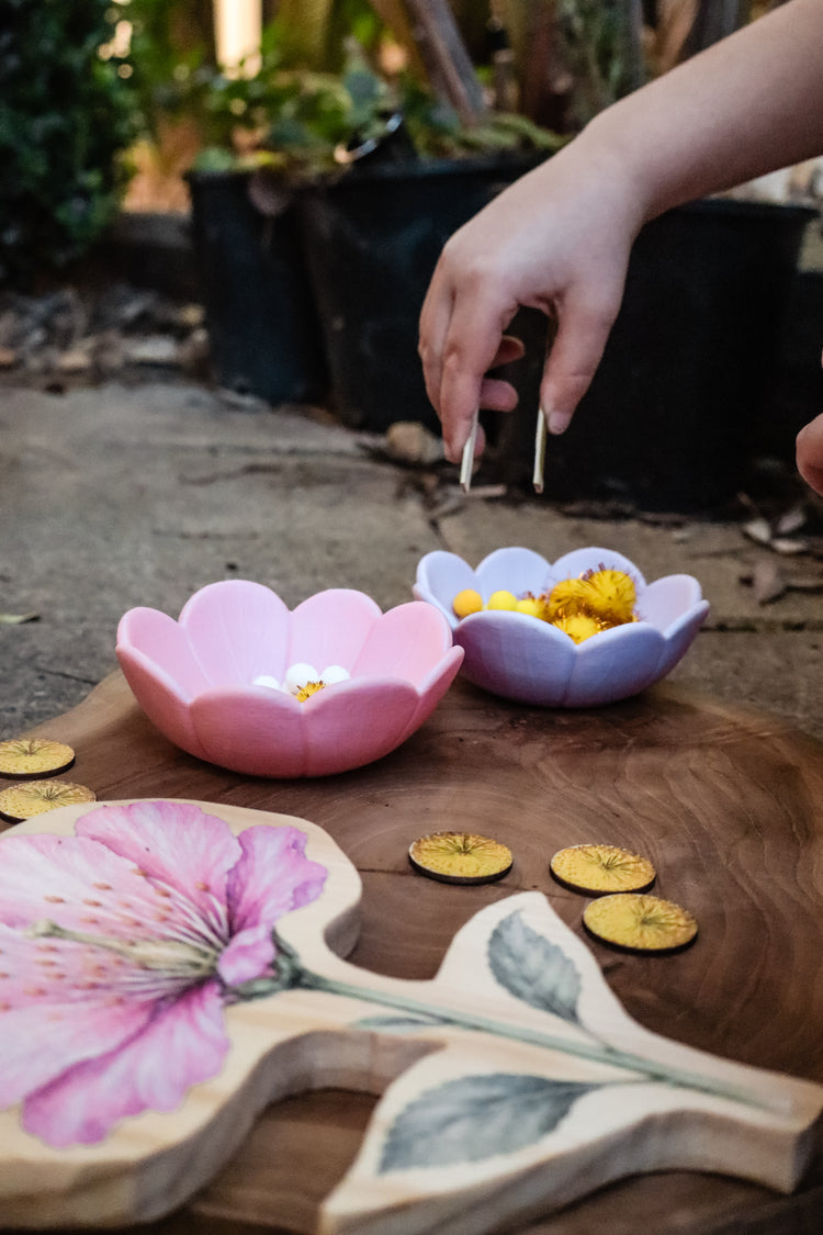 Pollination Discovery Kit | Hands-On Nature & STEM Learning
