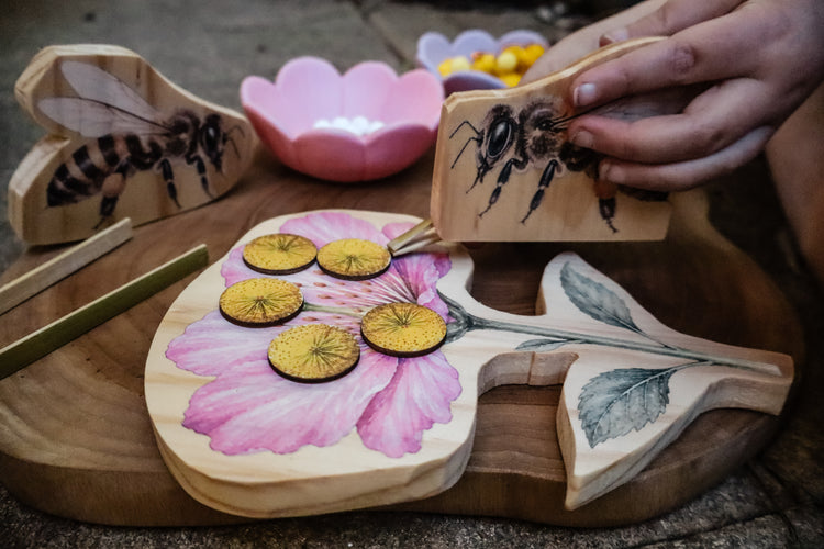 Pollination Discovery Kit | Hands-On Nature & STEM Learning