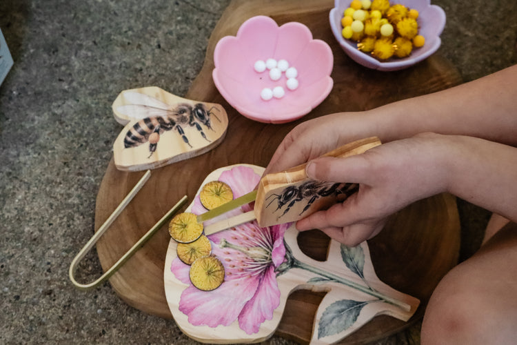Pollination Discovery Kit | Hands-On Nature & STEM Learning