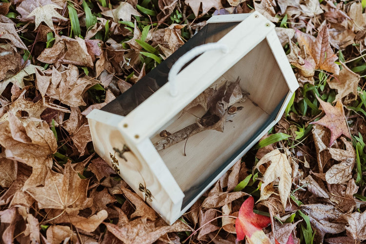 Bug keeper
