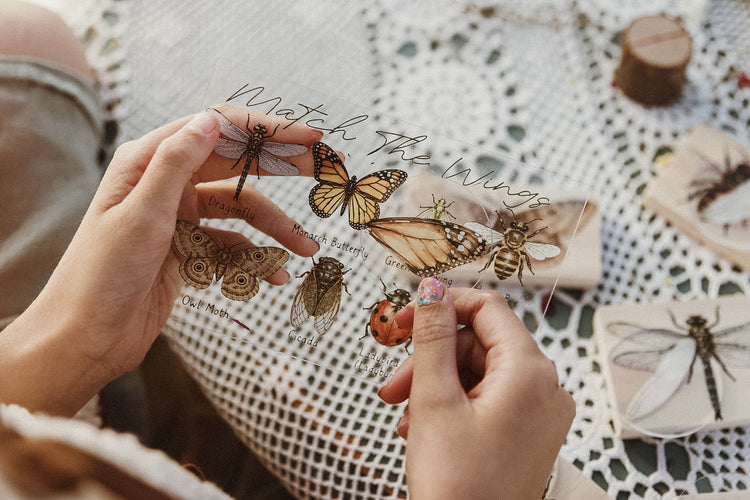Insect Wing Matching Set | Hands On Nature & Science learning