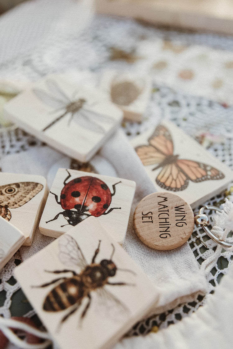 Insect Wing Matching Set | Hands On Nature & Science learning