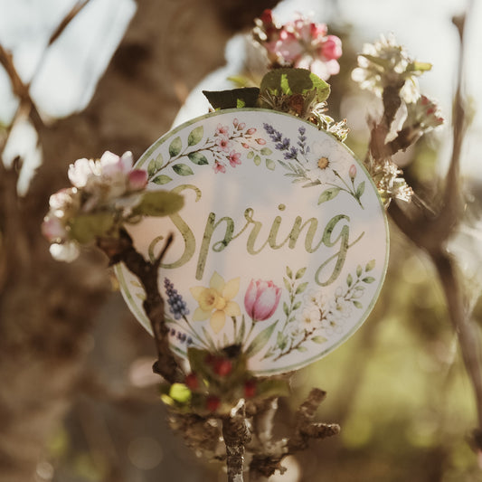 Four Seasons Tree Set | Wooden nature & Seasonal Learning Resource