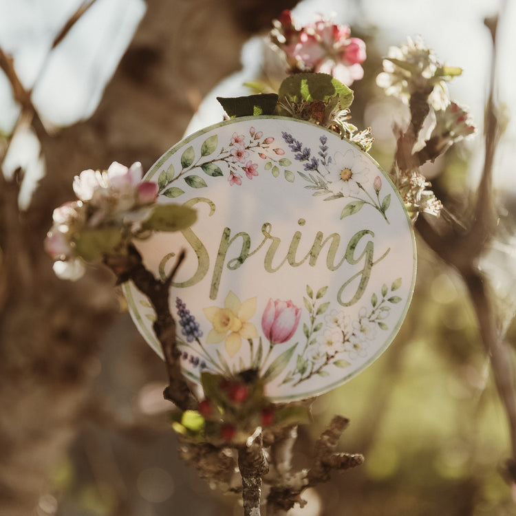 Four Seasons Tree Set | Wooden nature & Seasonal Learning Resource