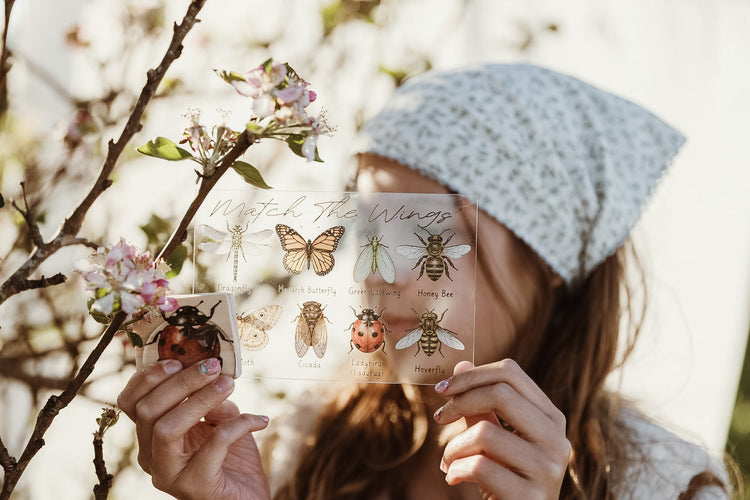 Insect Wing Matching Set | Hands On Nature & Science learning