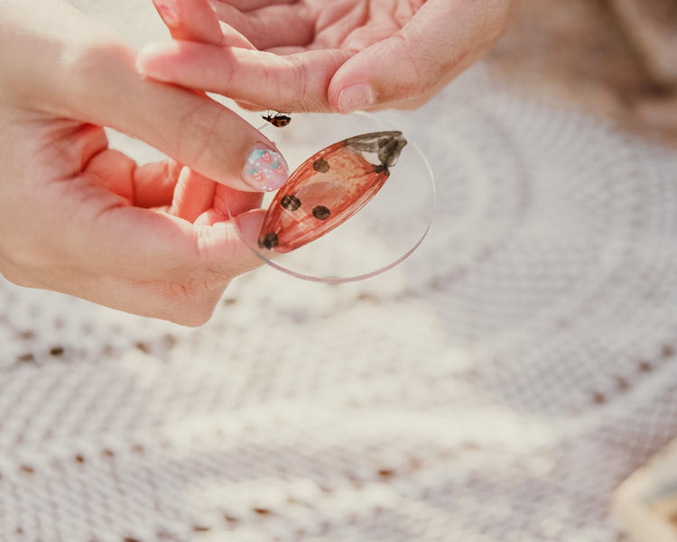 Insect Wing Matching Set | Hands On Nature & Science learning