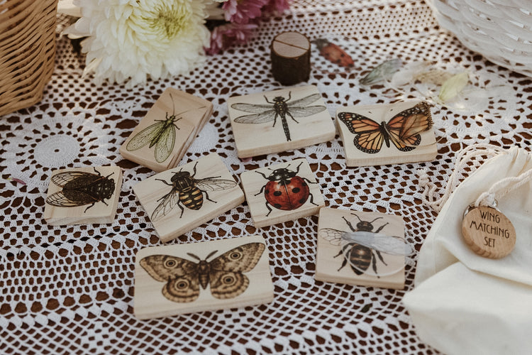 Insect Wing Matching Set | Hands On Nature & Science learning