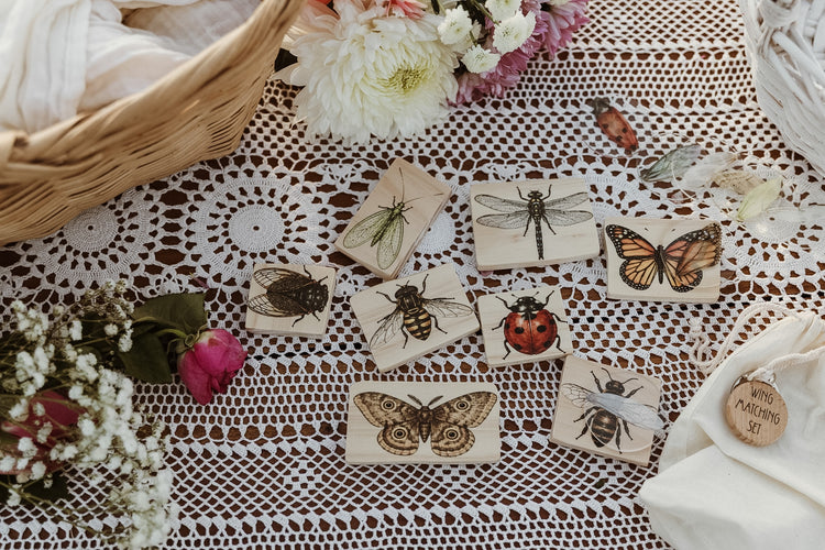 Insect Wing Matching Set | Hands On Nature & Science learning
