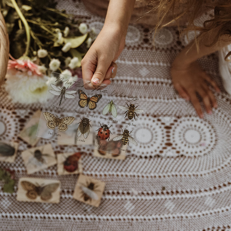 Insect Wing Matching Set | Hands On Nature & Science learning