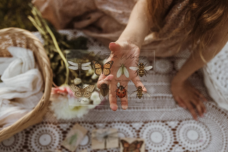 Insect Wing Matching Set | Hands On Nature & Science learning