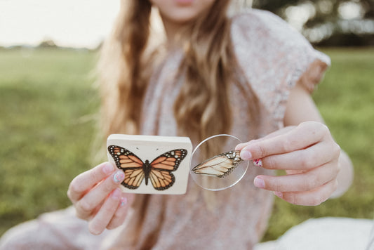 Insect Wing Matching Set | Hands On Nature & Science learning