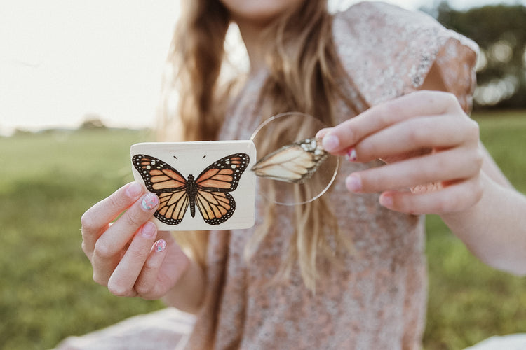 Insect Wing Matching Set | Hands On Nature & Science learning