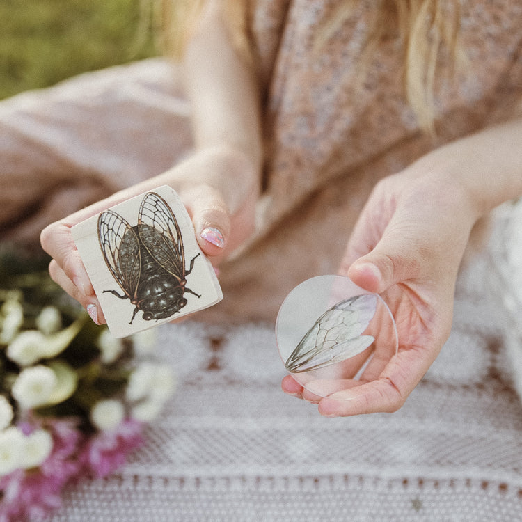 Insect Wing Matching Set | Hands On Nature & Science learning