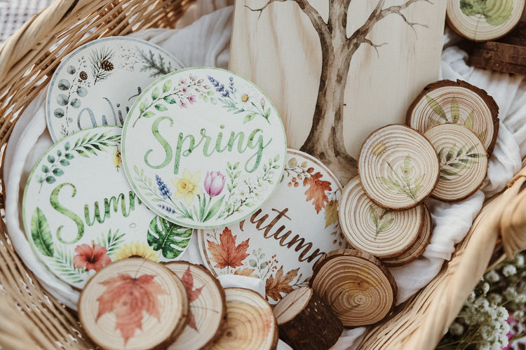 Four Seasons Tree Set | Wooden nature & Seasonal Learning Resource