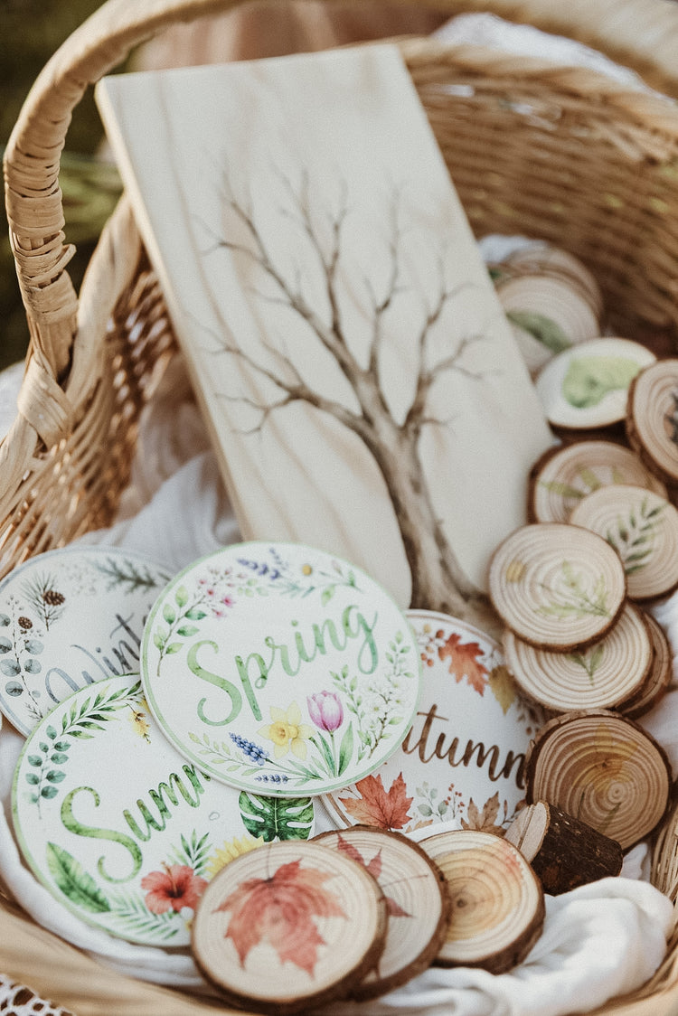 Four Seasons Tree Set | Wooden nature & Seasonal Learning Resource